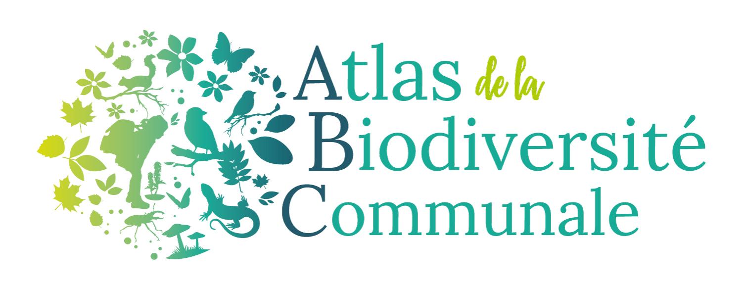 Les animations de l’ABC en terres ossaloises