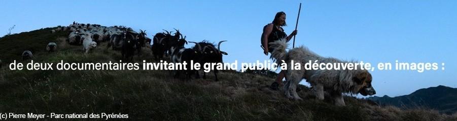 2026 : Ann&eacute;e internationale  des parcours et des &eacute;leveurs pastoraux