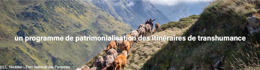 2026 : Ann&eacute;e internationale des parcours et des &eacute;leveurs pastoraux