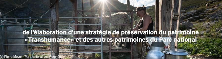 2026 : Ann&eacute;e internationale  des parcours et des &eacute;leveurs pastoraux
