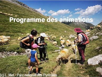 2026 : Ann&eacute;e internationale  des parcours et des &eacute;leveurs pastoraux