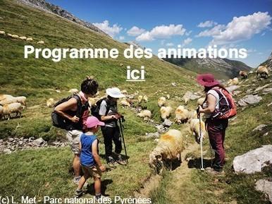 Animations pasto