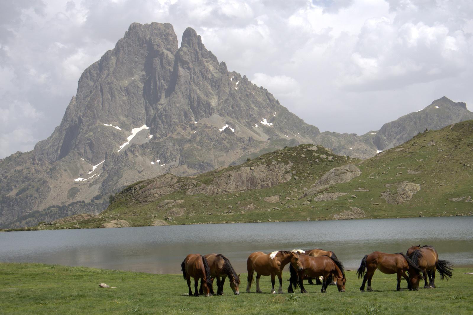 Bienvenue dans les Maisons du Parc national des Pyrénées !