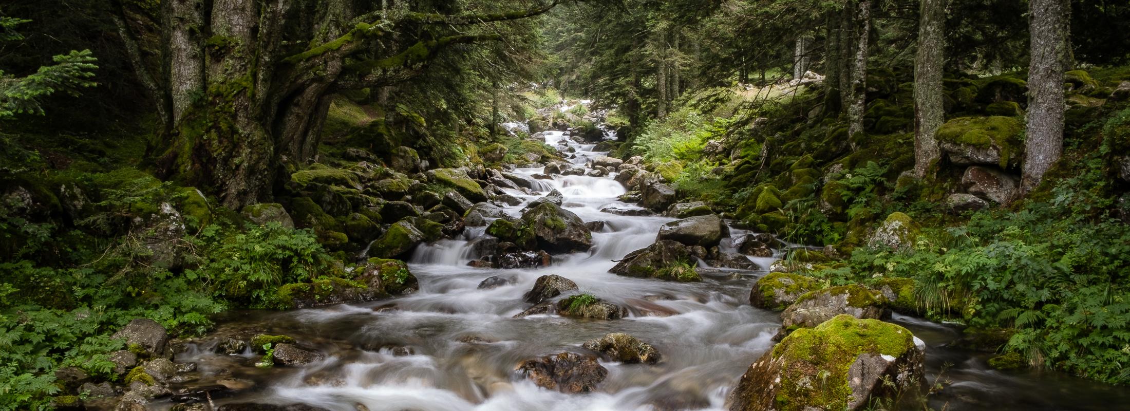 (c) L. Cazabet - Parc national des Pyrénées