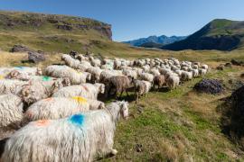 Traitement du lactosérum