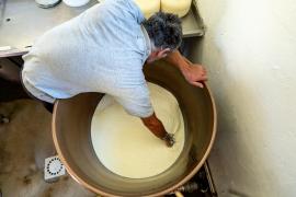 Traitement du lactosérum