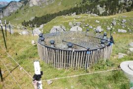 Traitement du lactosérum