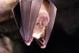 Vivre ensemble, en l'église de Vier-Bordes