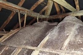 Vivre ensemble, au ch&acirc;teau de Pr&eacute;chac