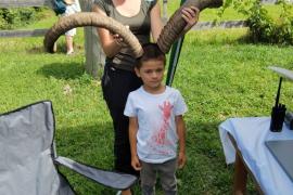 atelier sensibilisation bouquetin ©DR