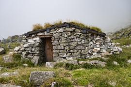 2026 : Année internationale  des parcours et des éleveurs pastoraux