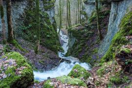 gorges_de_la_vingeanne_cfranck_fouquet.jpg