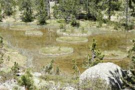 lac_de_boudigues_vallon_estibere_neouvielle_olivier_jupille_bd_1.jpg