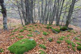 travaux_archeo_protection_tumulus_aspe_7.jpg