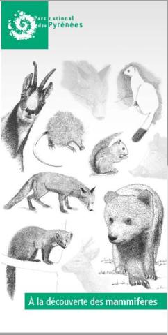 Page Document Ancien Sur Les Mammifères - Tirée D'un Livre De 1949, Recto-verso