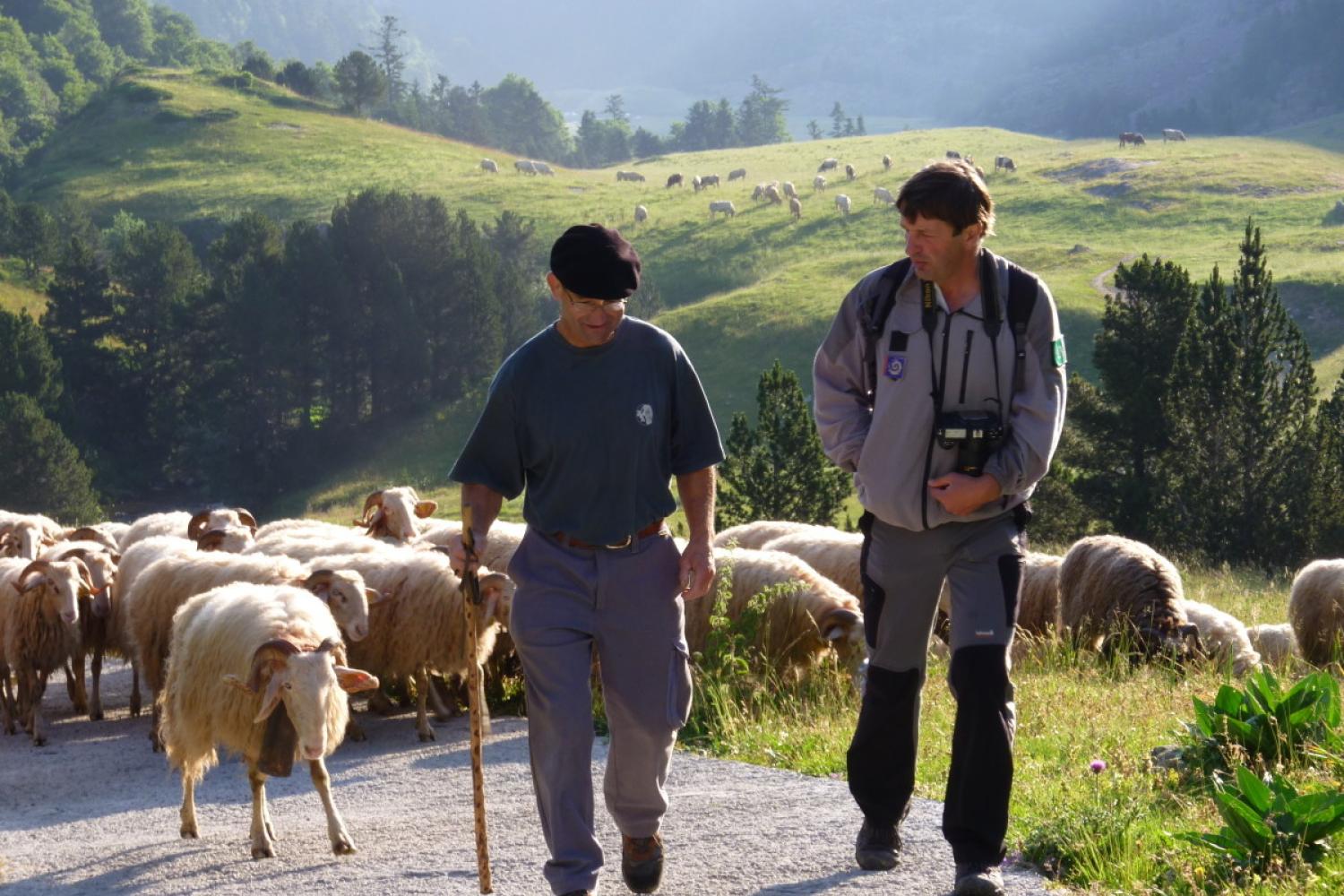 2026 : Année internationale  des parcours et des éleveurs pastoraux