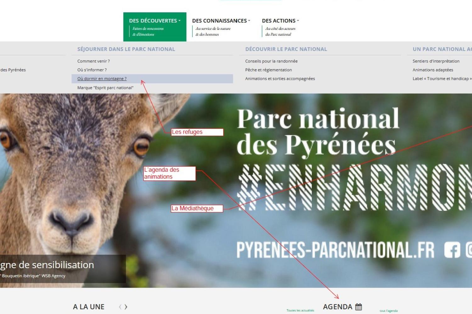 Connaissez-vous bien notre site web ? 