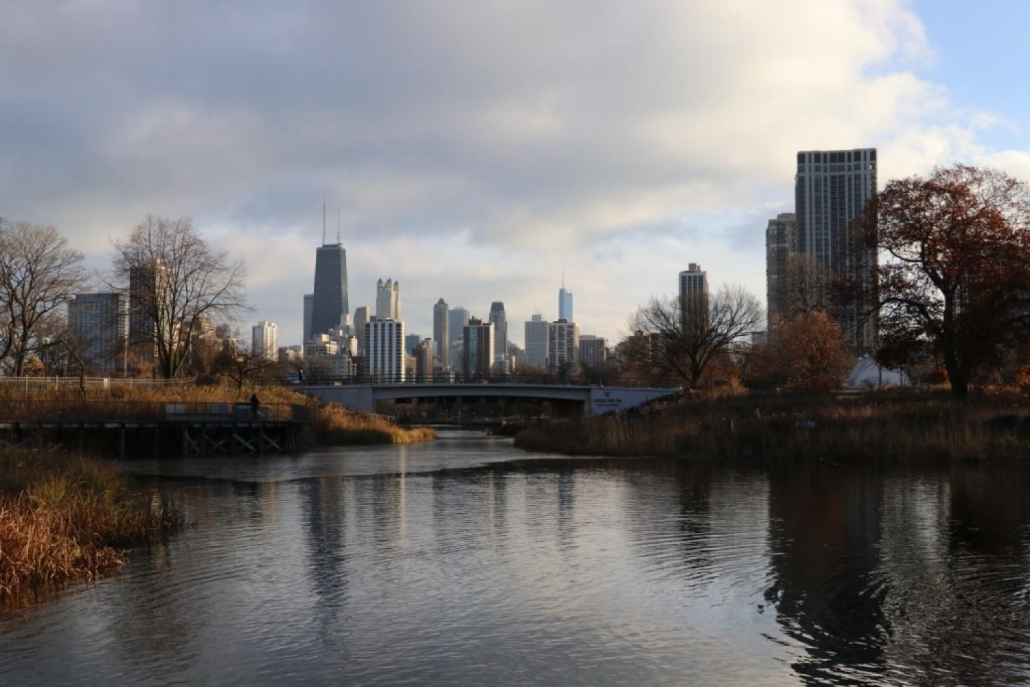 conference_chicago_reintroduction_bouquetin_alexandre_garnier.jpg