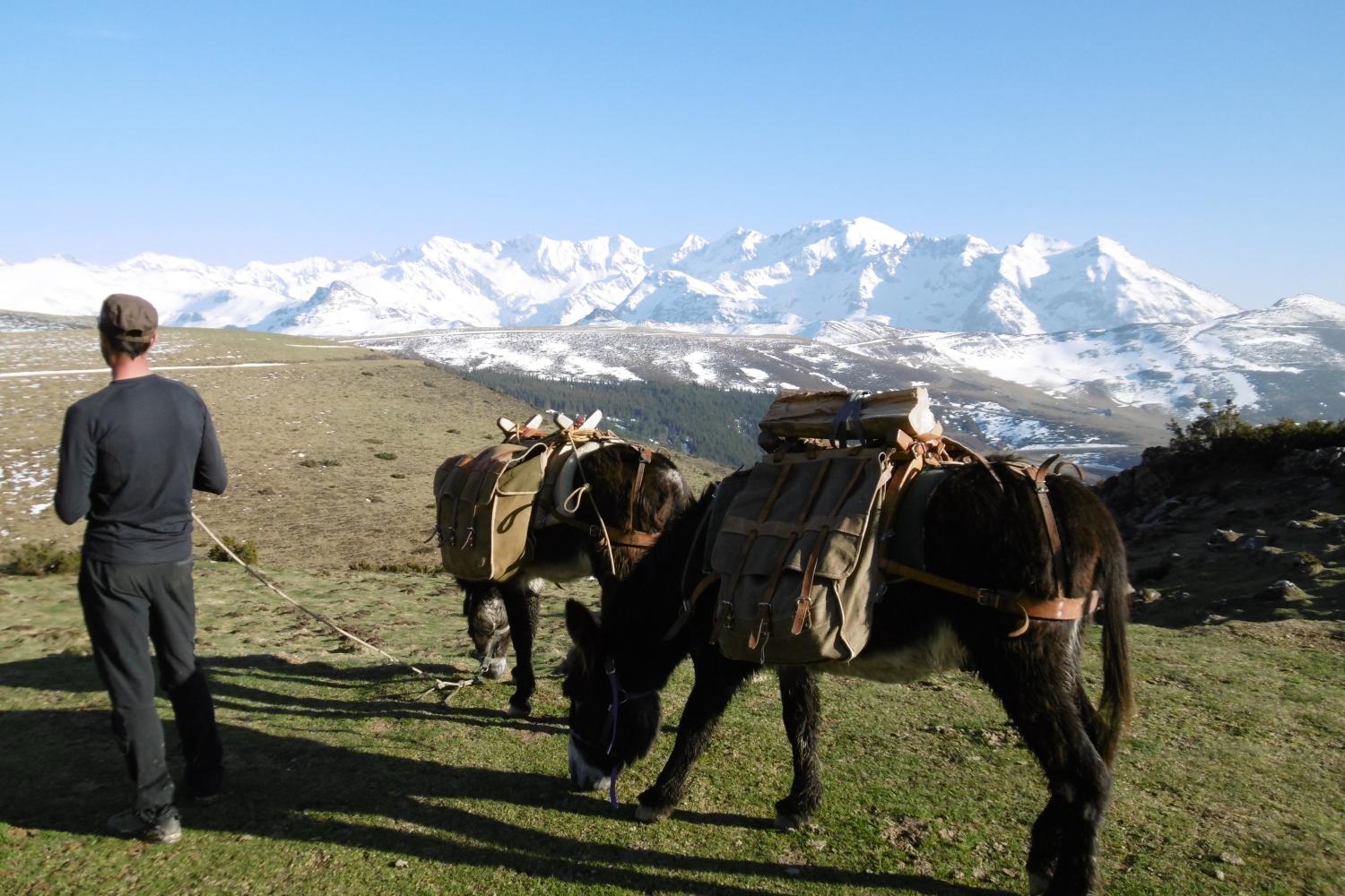 itinerance_avec_les_anes_pyrenesens.jpg