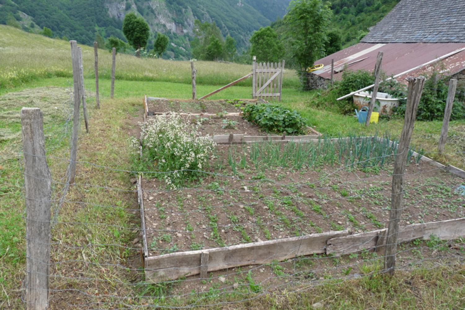 jardin-potager.jpg