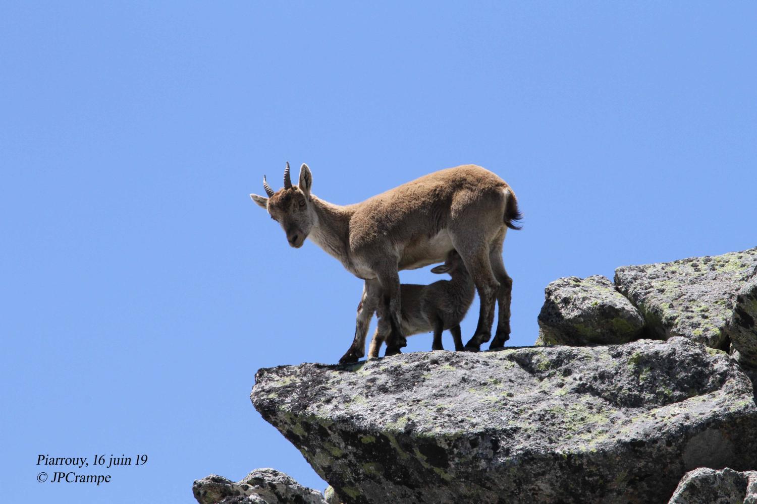 jeune_mere_2ans_2750m_16-06-19_jpc.jpg