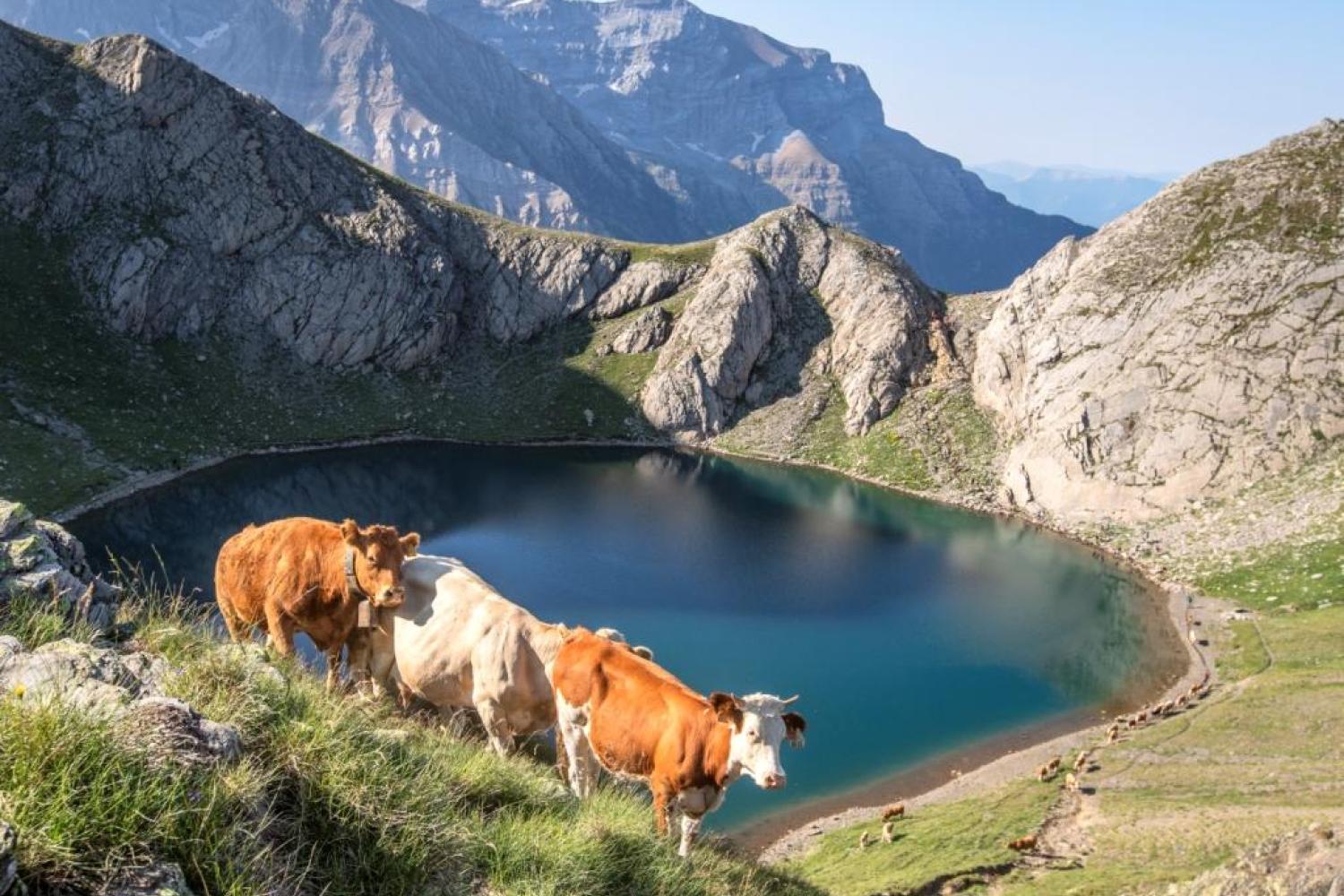 la_bernatoire_gavarnie_pierre_meyer_6.jpg