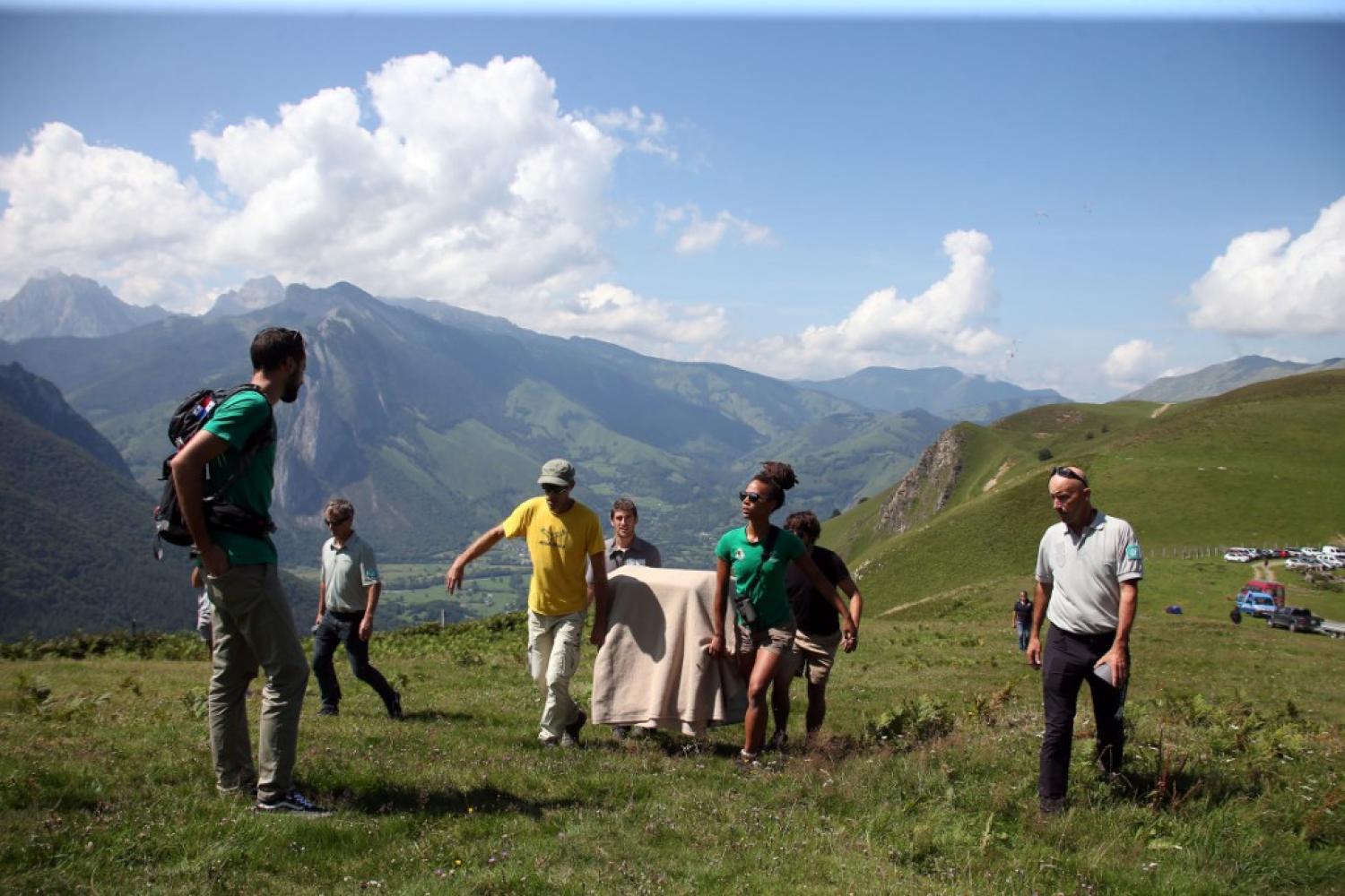 lacher_gypaete_bies_accous_nicolas_sabathier_republique_des_pyrenees_12.jpg