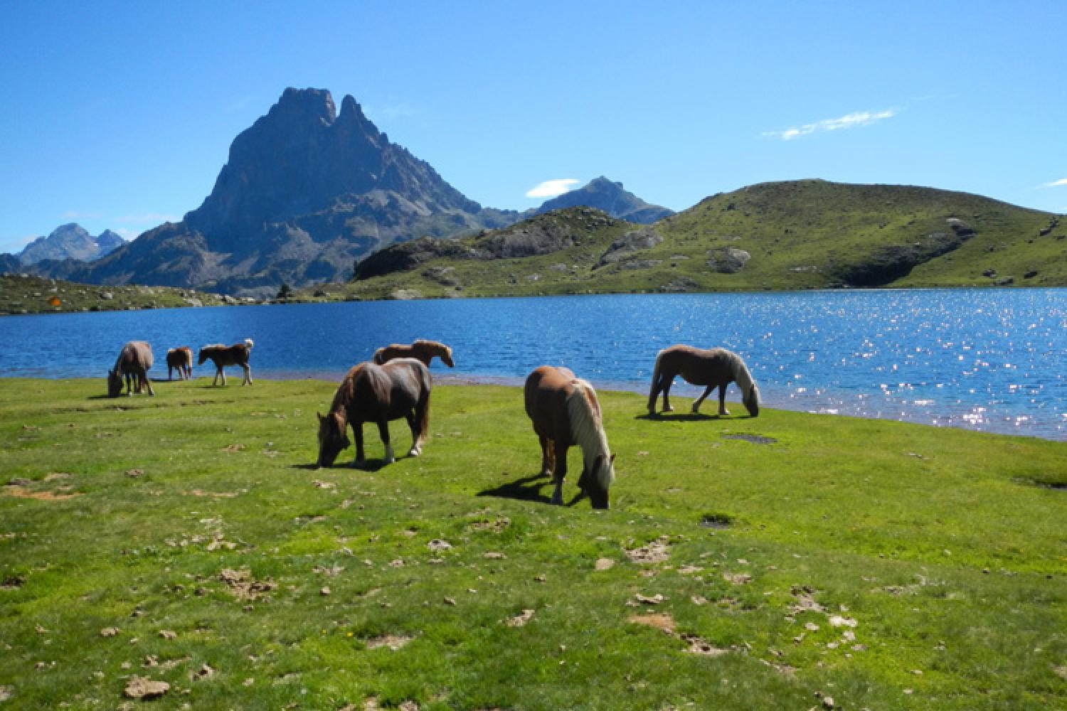 ossau.jpg