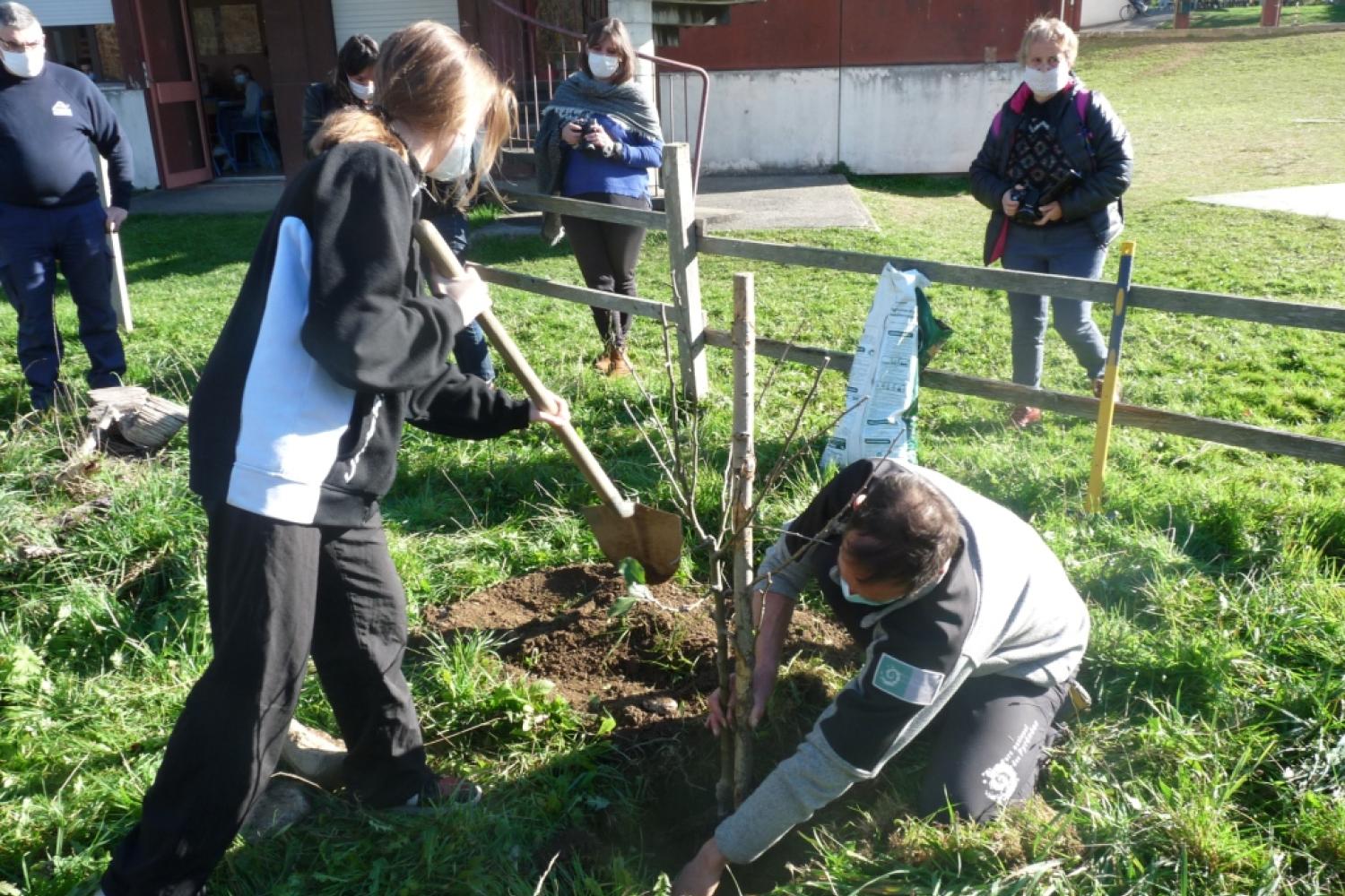 plantation_pommier_e3d_bedous_claire_brocas_1.jpg