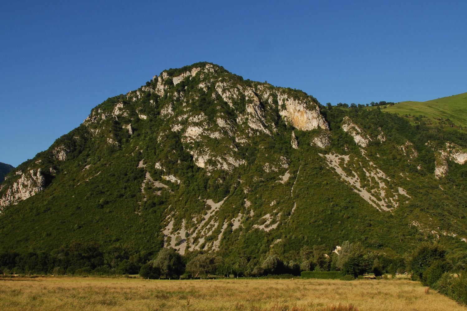 reserve_naturelle_nationale_ossau_didier_peyrusque_2.jpg