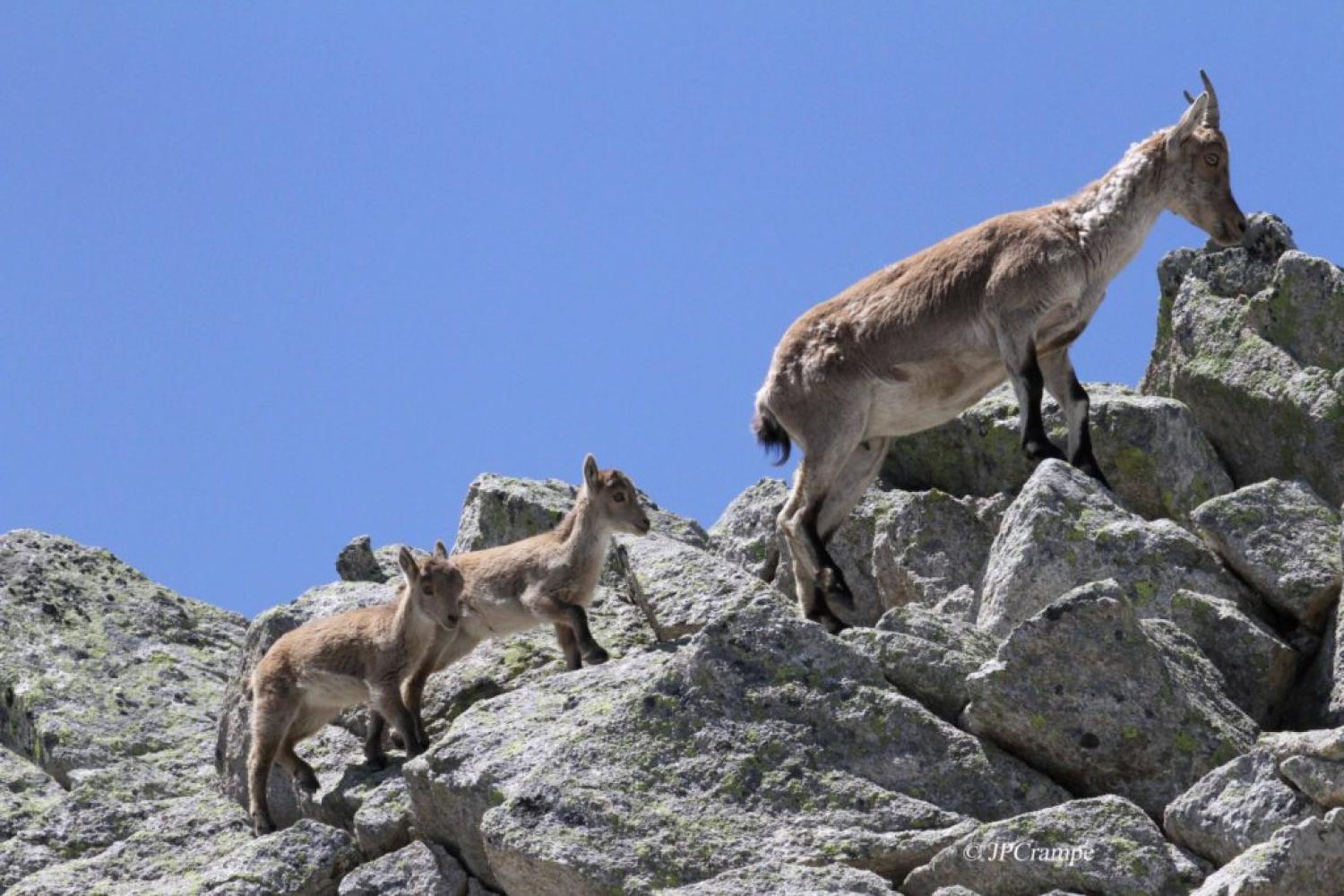 tresia_2750m_16-06-19_jpc.jpg