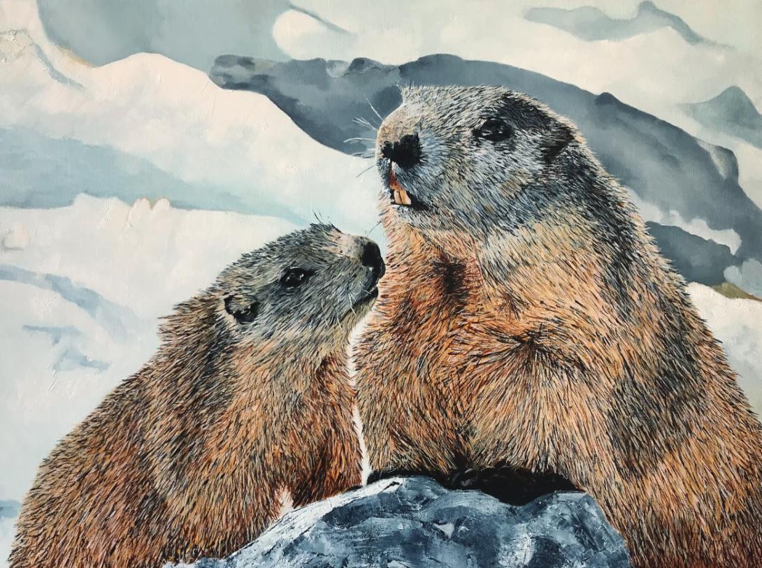 Marmottes