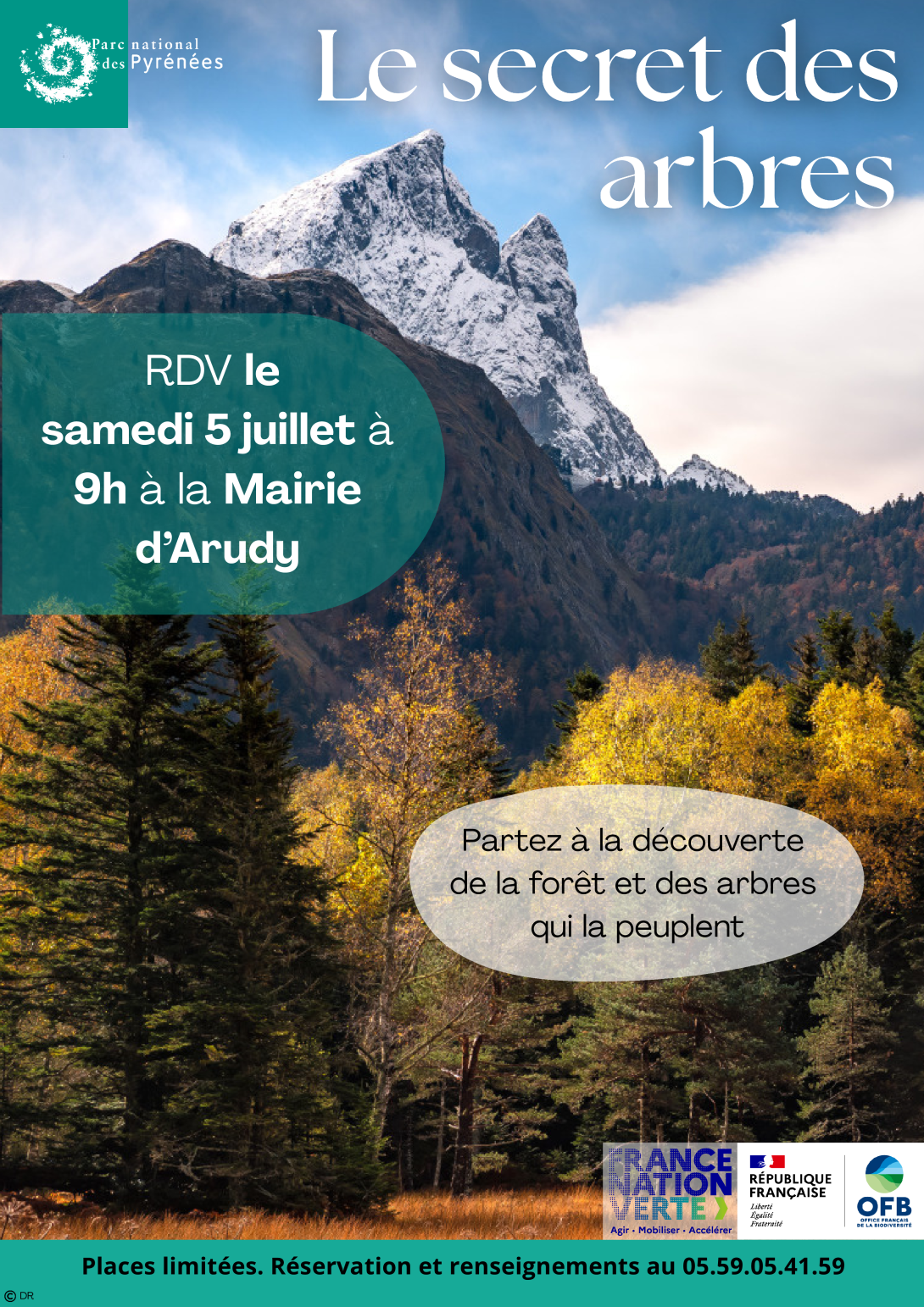 Le secret des arbres