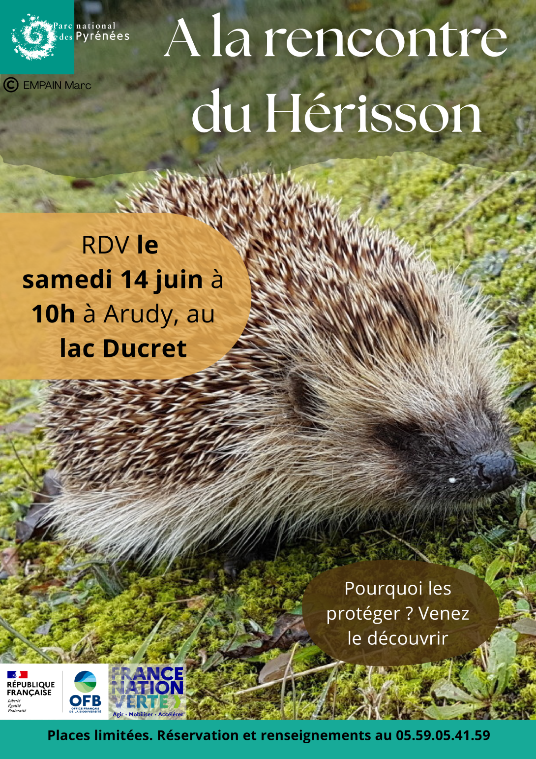 A la rencontre du Hérisson