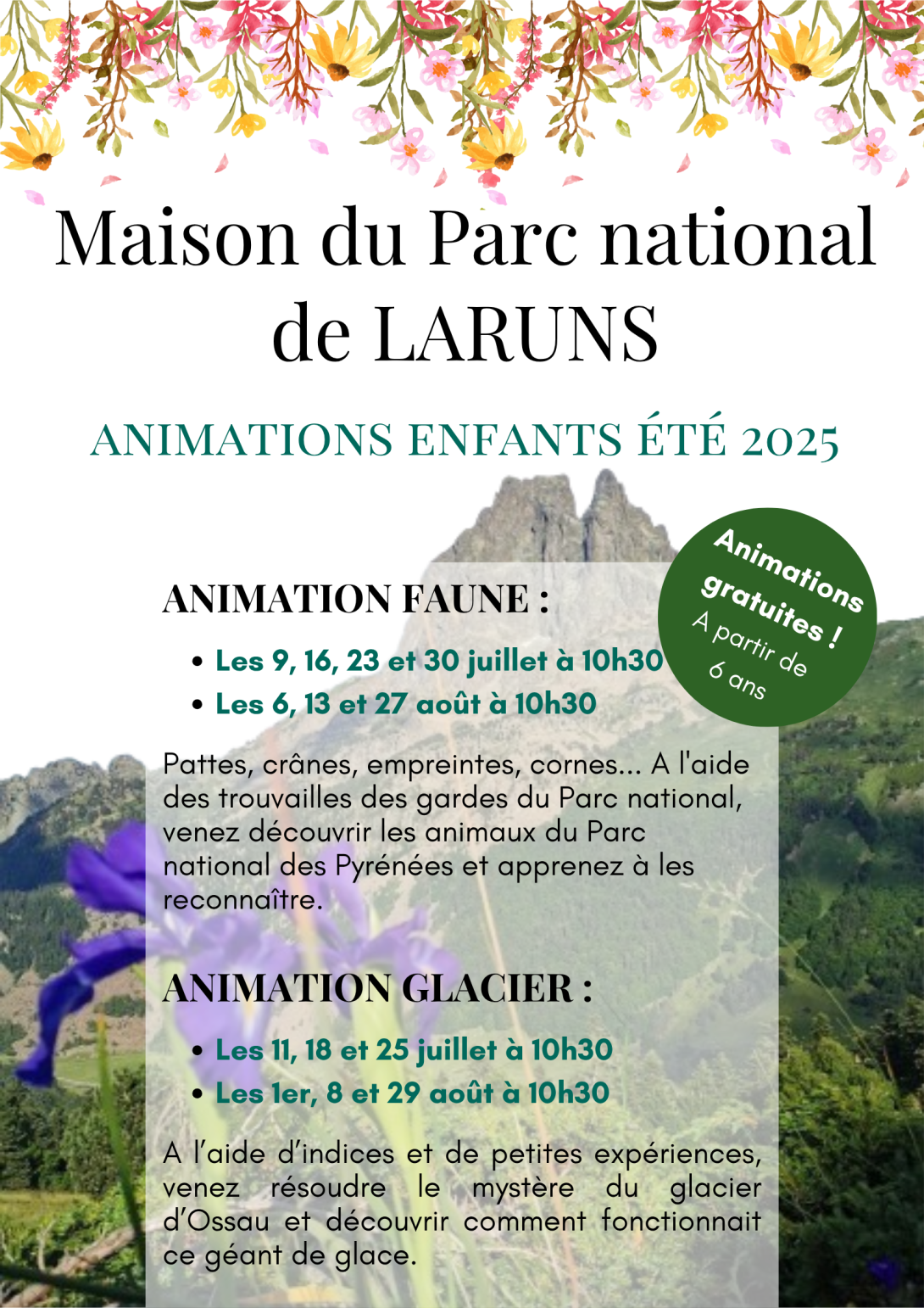 Programme animation été 2025