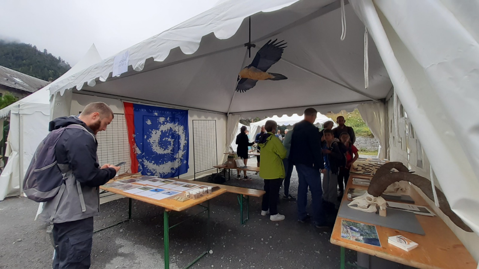 Festival d'Aulon
