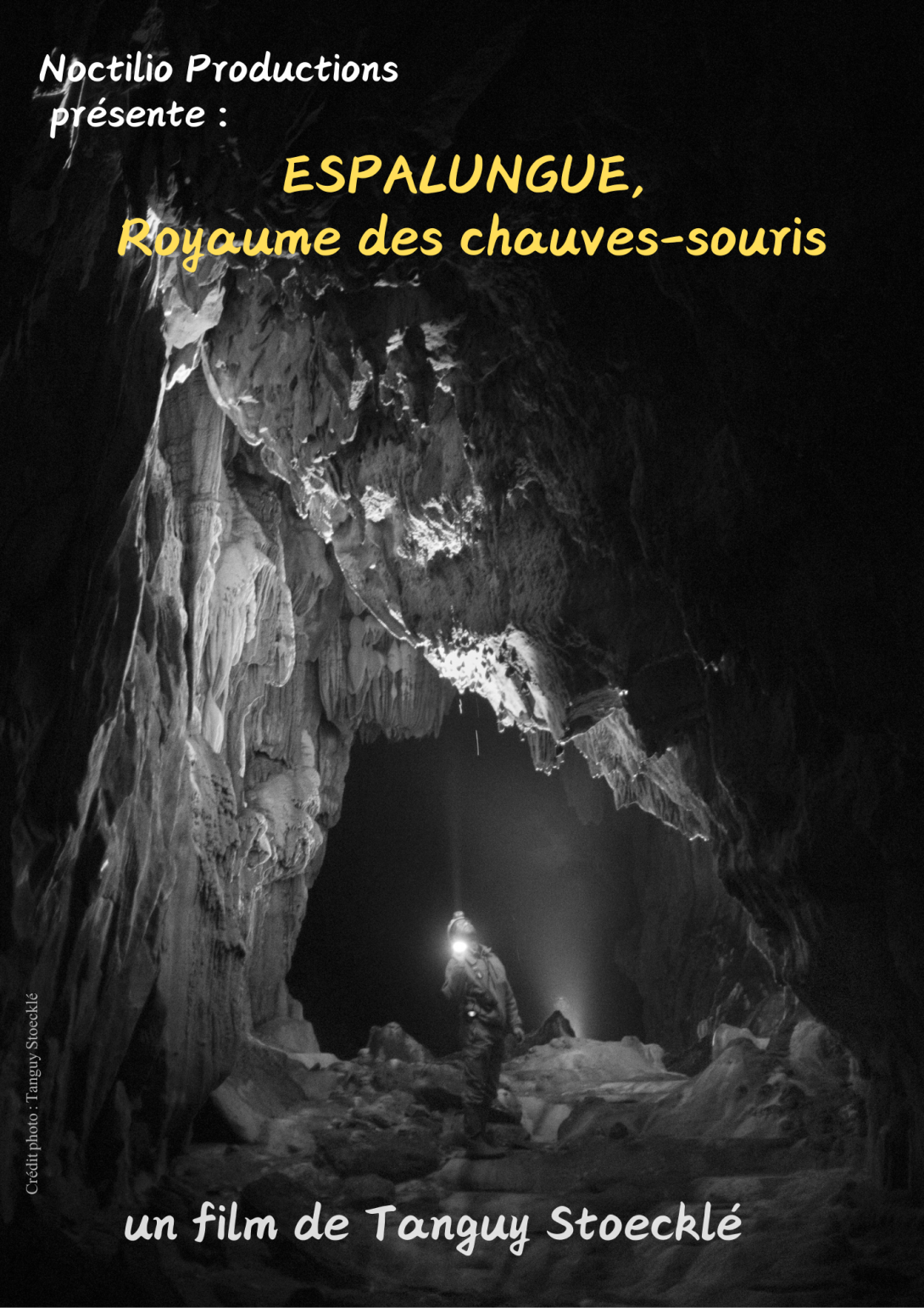Espalungue, royaume des chauves-souris