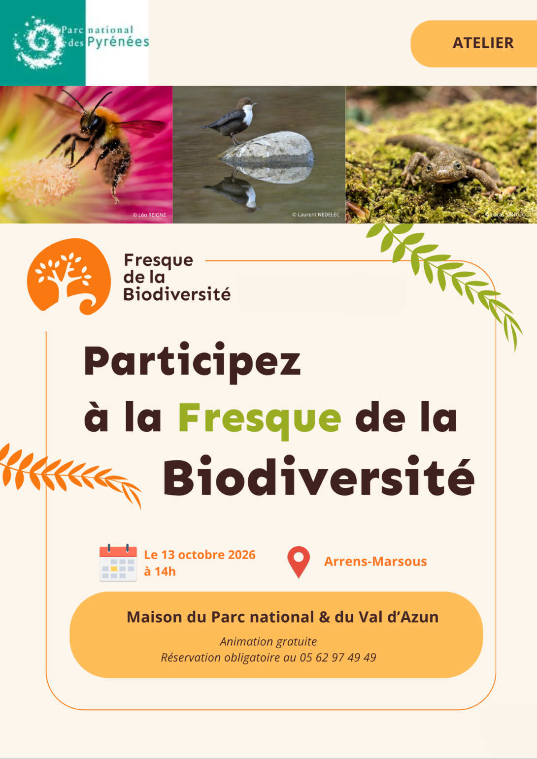 Fresque de la biodiversité