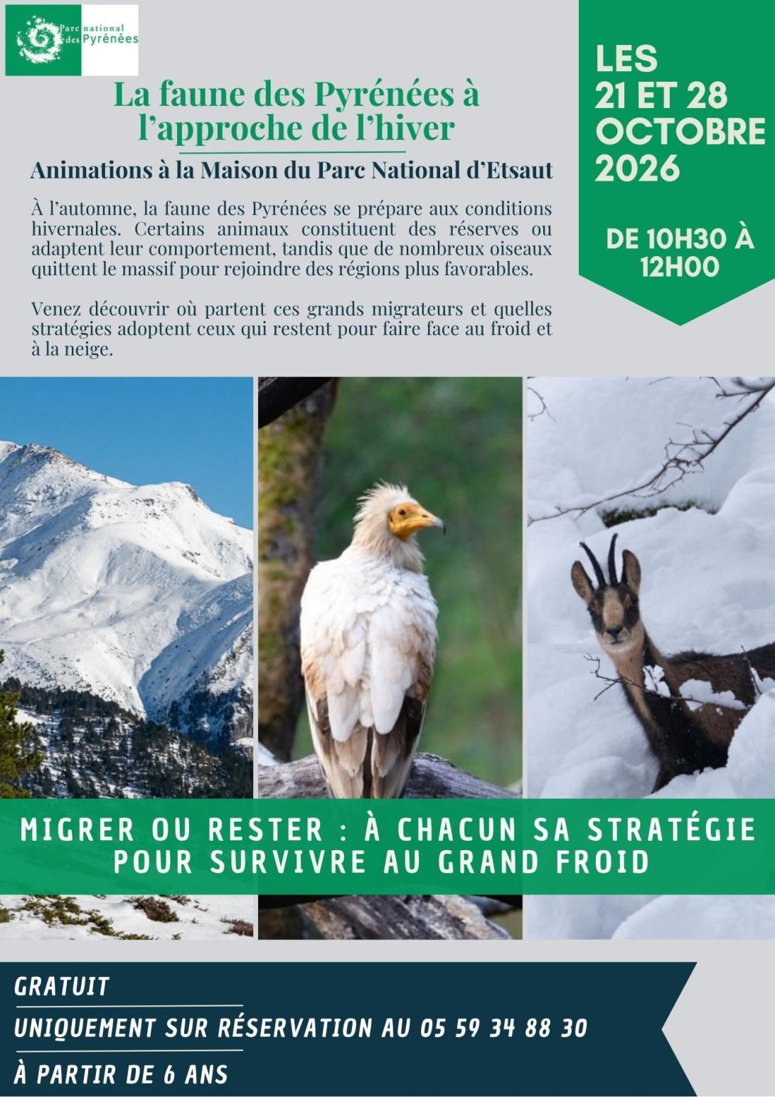 animations faune