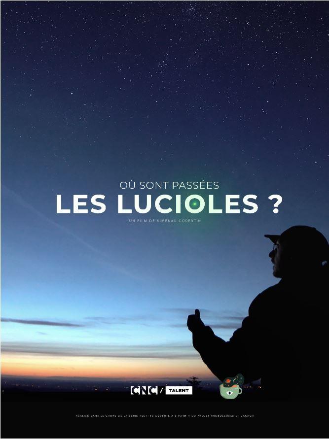 où sont passées les lucioles ?