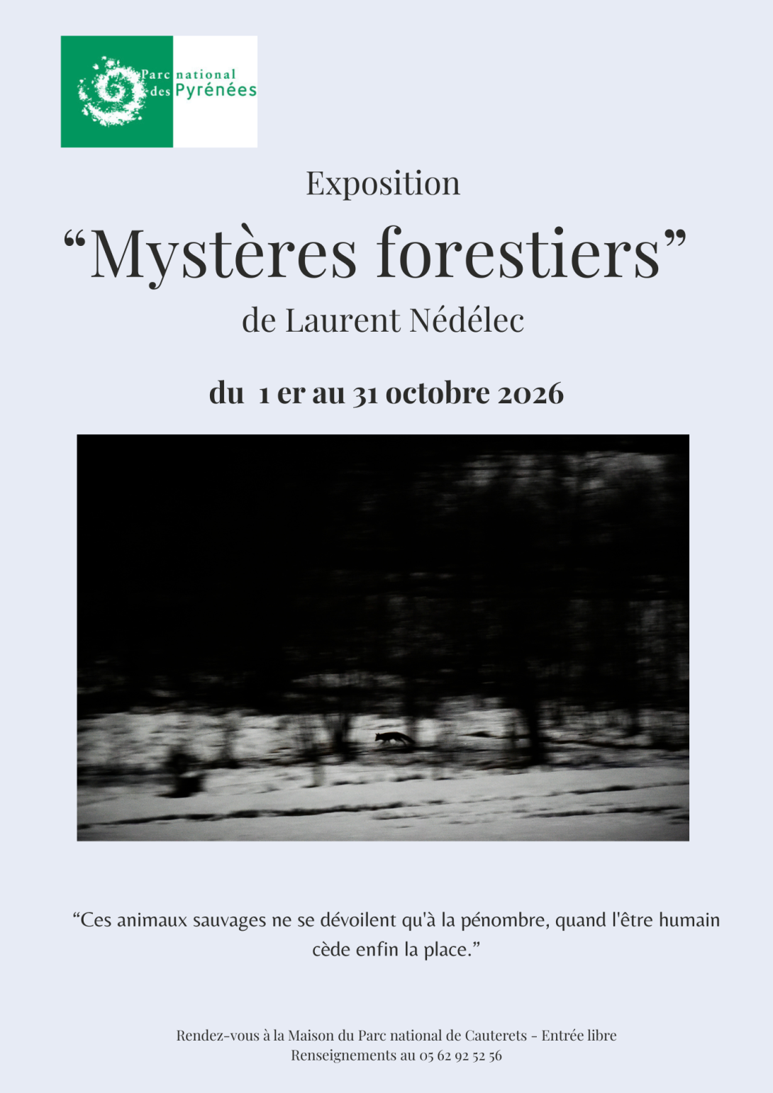 affiche expo L. Nédélec