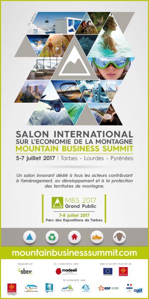 mountain-business-summit-2017-banner-300x600px-fr.jpg